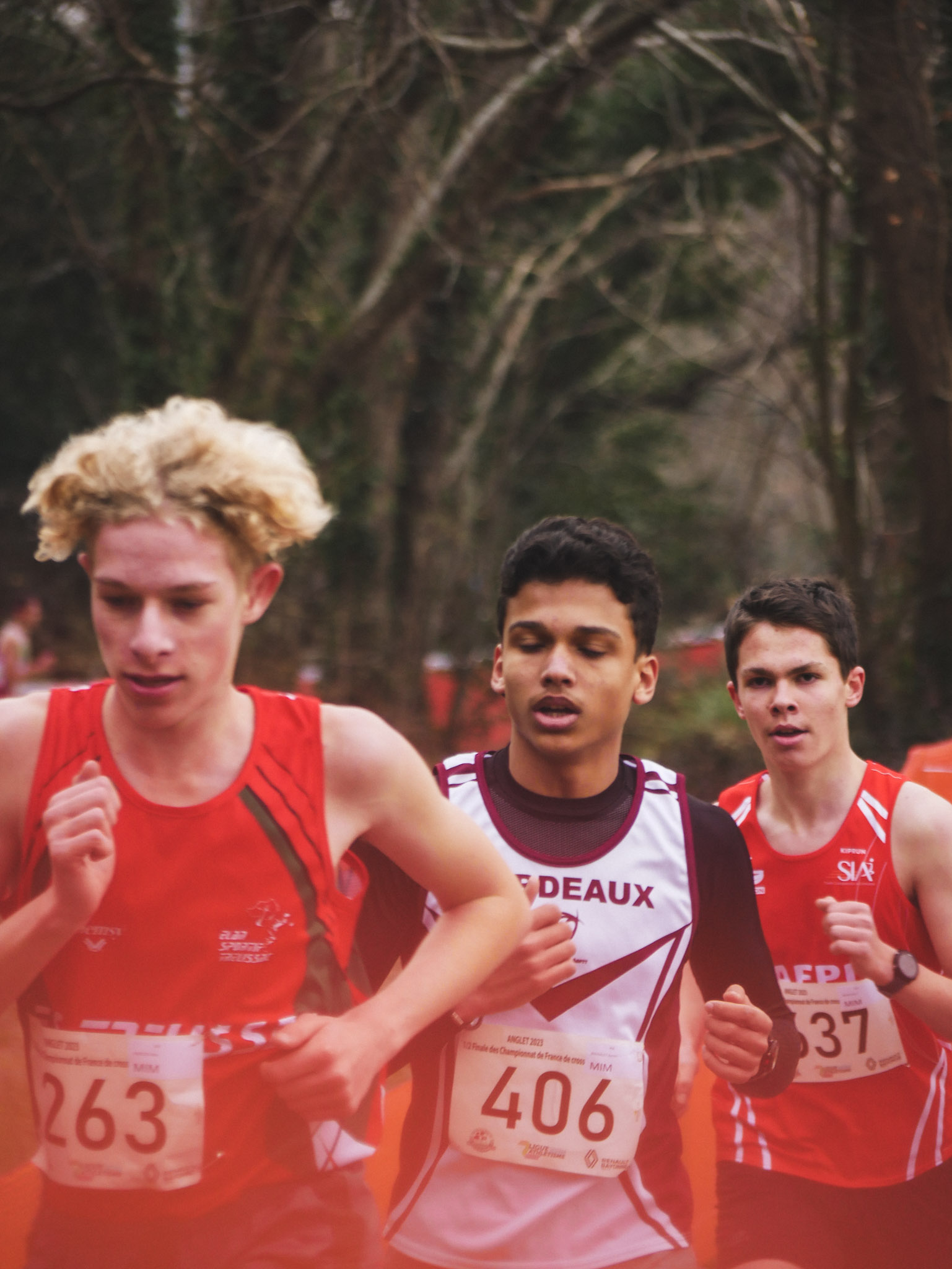 minime masculin bordeaux athlé demi finale championnat de france de cross
